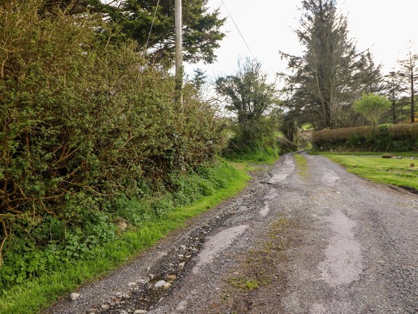 A rural road with a gravel shoulder, surrounded by dense vegetation and trees.