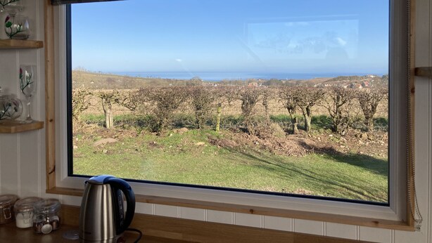 A room with a large window overlooking a vineyard and distant landscape. - Ashmere Tiny House . Adults Only (Coldingham, Eyemouth)
