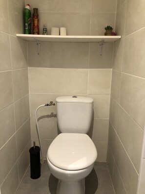 Shower, hair dryer, towels, toilet paper