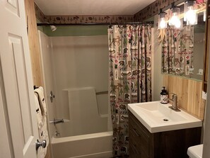 Ein Badezimmer mit Duschvorhang mit Tiermotiven, einem Waschbecken mit Seifenspender und einem Spiegel darüber.