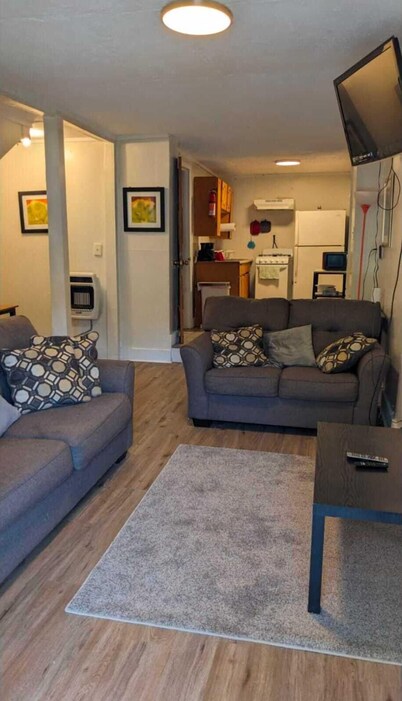 HISTORIC HILL APT2 (Downstairs)