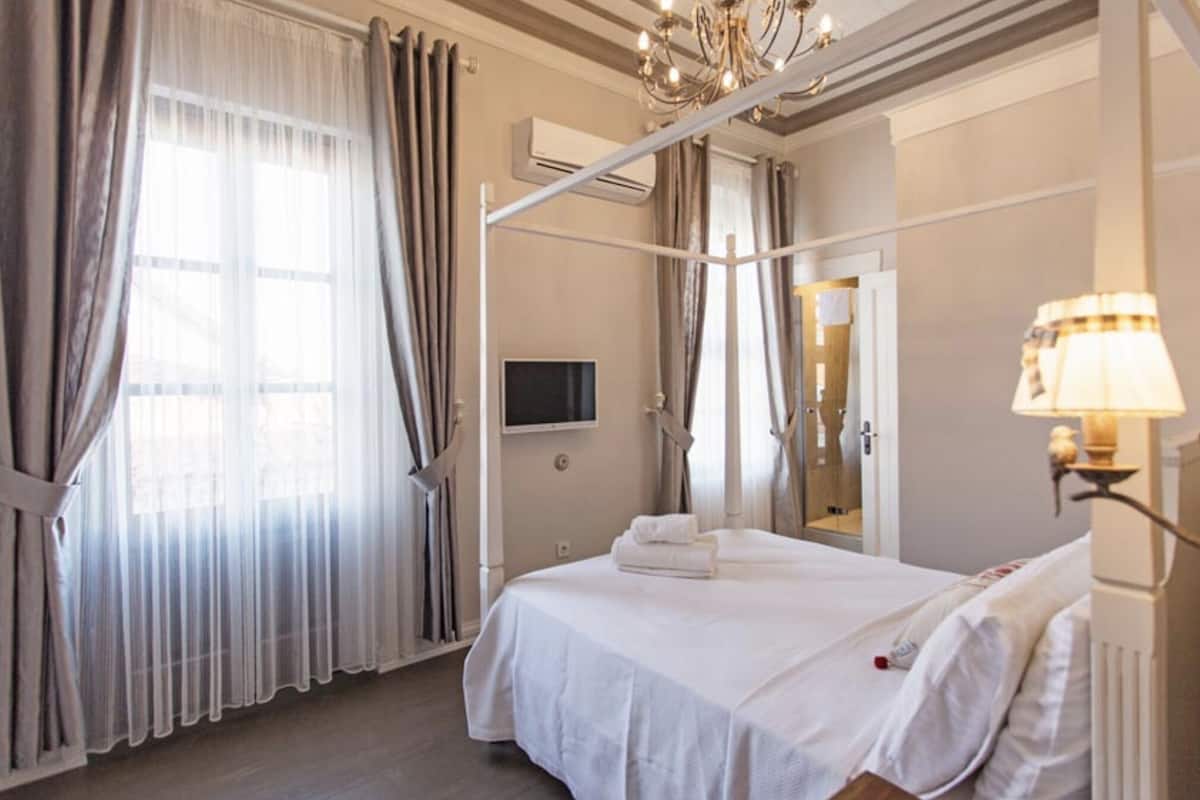 Habitación de hotel con una cama con dosel, un televisor de pantalla plana y una araña.
