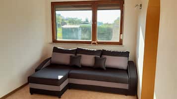 Fernseher, Bücher