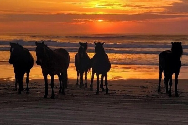 Beach nearby, sun loungers