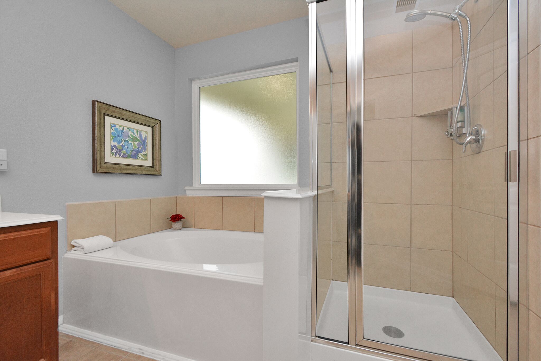 Hair dryer, towels, shampoo, toilet paper