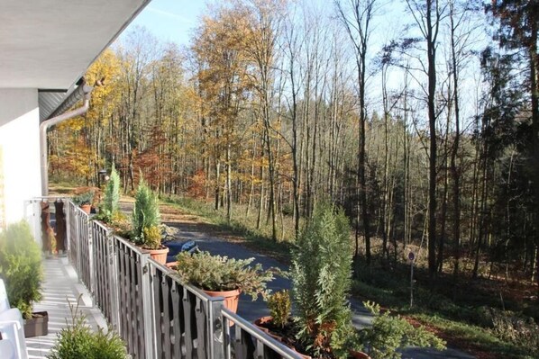 A balcony with a view of a forested area and a paved path. - pension walddorf (Winterberg)