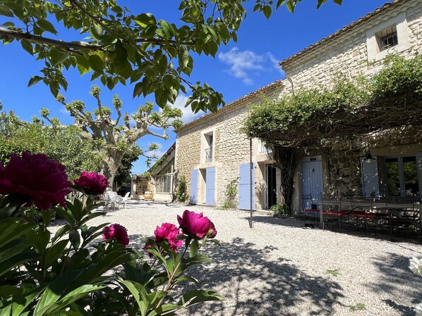 Exterior - Old farmhouse with swimming pool in the heart of Provence (Monteux)