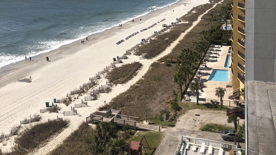 Blue Palmetto Vacation Rentals