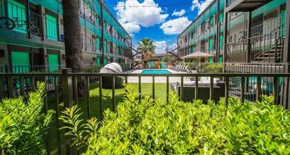 Spacious and Cozy King Bed 2BR Suite, 5 Min to DT
