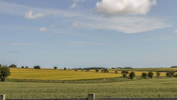 A rural landscape with fields, trees, and a wooden fence.
