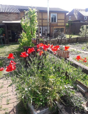 Property grounds - Vacation home ALTE SCHEUNE up to 5 persons / 3 bedrooms in a quiet location (Liessow)