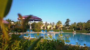 Pool - Apartment with solarium (Pizzo)