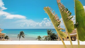 Vista de una playa con palmeras y cielo despejado.