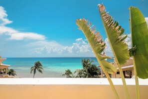 Property grounds - Penthouse El Faro!  True Oceanfront Luxury! C401 (Playa del Carmen)