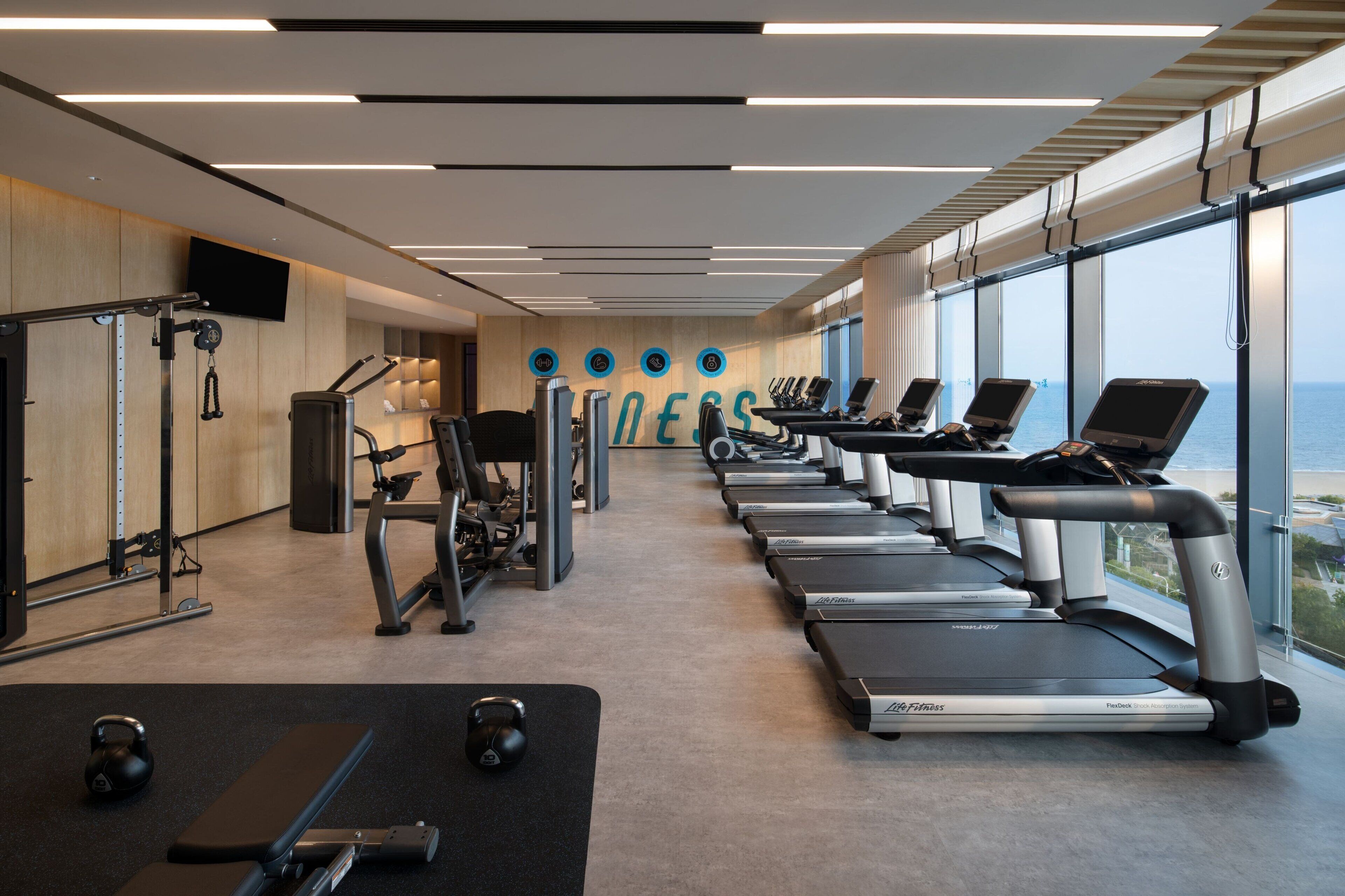 A modern gym with treadmills, weight machines, and a rowing machine.