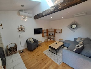 Télévision, cheminée, lecteur de DVD, livres