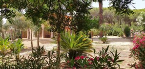 Parco della struttura
