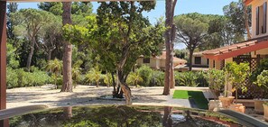 Property grounds - VILLA IN THE PINE FOREST WITH SWIMMING POOL AND PRIVATE BEACH (Sardegna)