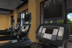 Fitness facility - 2-Bedroom Villa in Marriott's Lakeshore Reserve (Orlando)