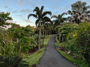 Parco della struttura
