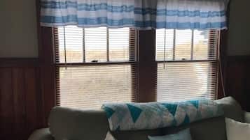 TV, fireplace, books