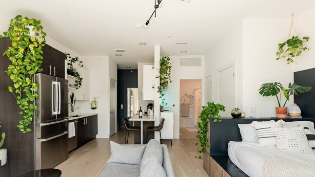 Eine moderne Wohnung mit Küche, Essbereich und Wohnzimmer mit Sofa und Bett.