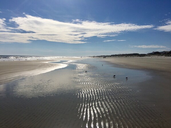 بالقرب من الشاطئ