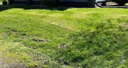 End of season discounts! Walking distance to campus trolleys,not owner occupied!