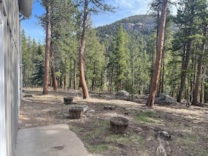 Escape to a serene forest setting surrounded by towering pine trees and a majestic mountain backdrop.