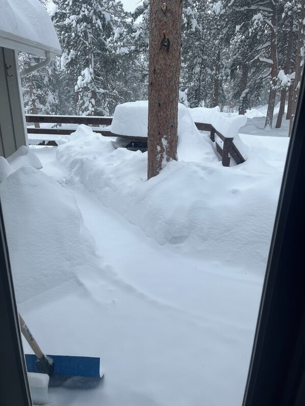 A snowy outdoor area with a wooden bench and a tree covered in snow.