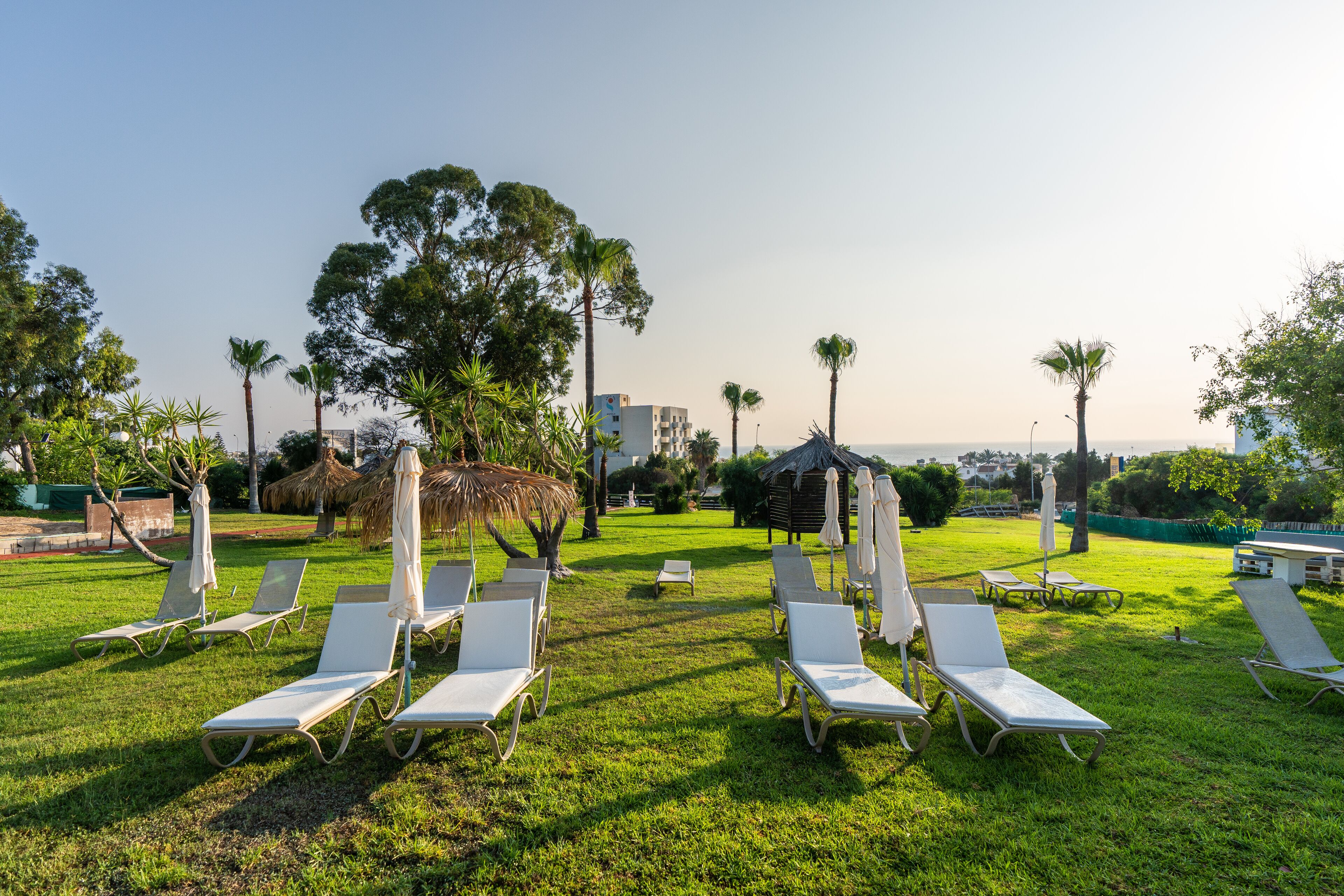 Een gazon met witte lounge stoelen en parasols, omgeven door bomen en gebouwen.