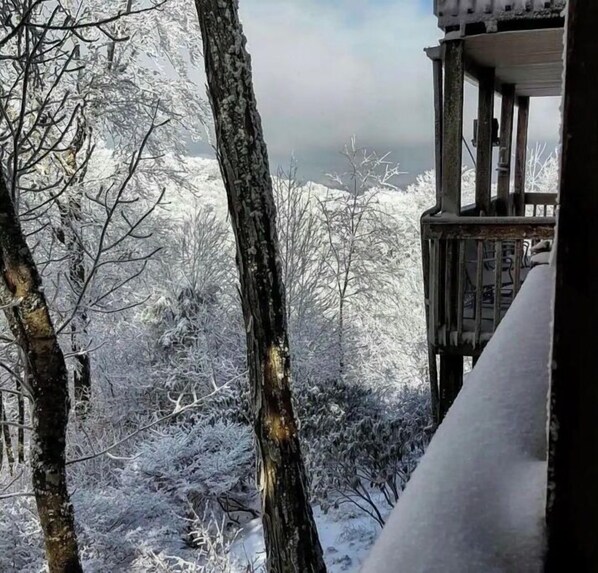 Terrain de l’hébergement 