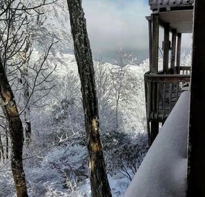 Paisaje nevado con árboles desnudos y una estructura de madera con balcón.