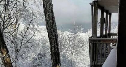 Creekside 2min to slopes..quiet & private location