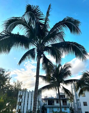 Exterior - Private and Fully equipped and furnished Family House Facing the Beach (Flic en Flac)