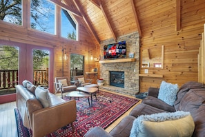 Smart TV, fireplace, video games, DVD player