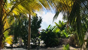 Un giardino tropicale con palme, una struttura a tetto di paglia e un vialetto.