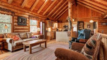 TV connectée, cheminée, lecteur de DVD, vidéothÚque