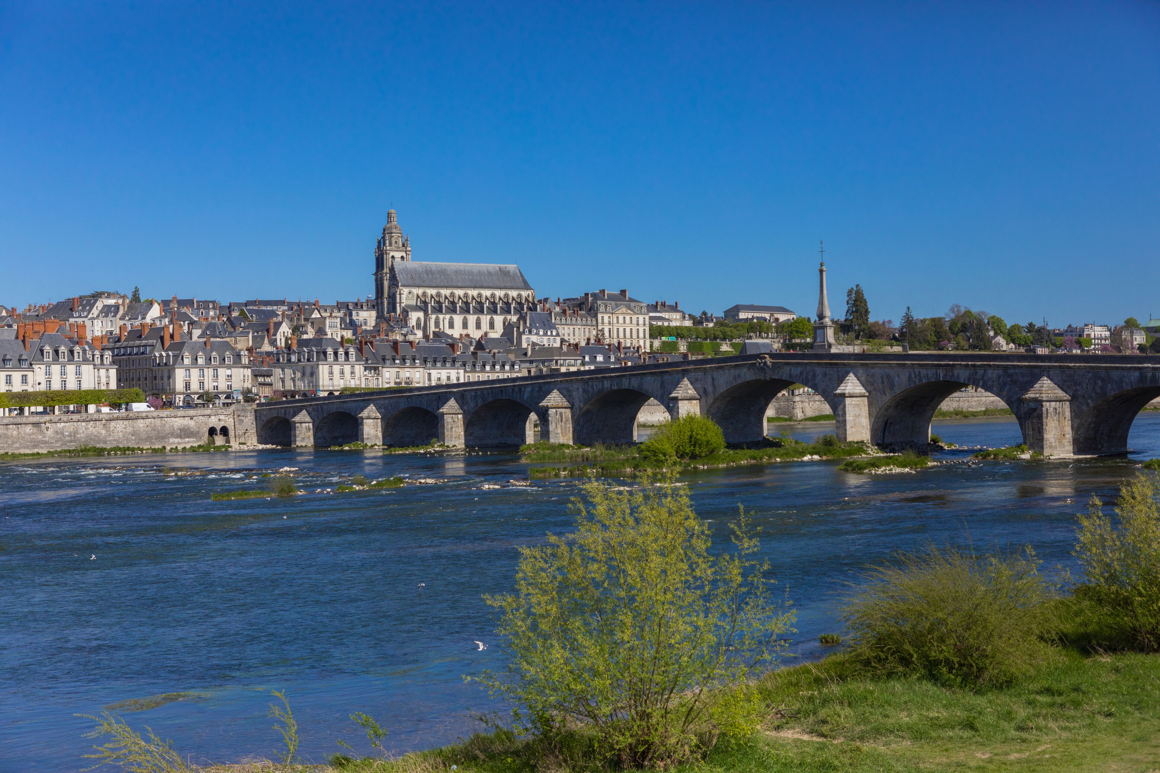 Duplex Suite with Loire View | View from room