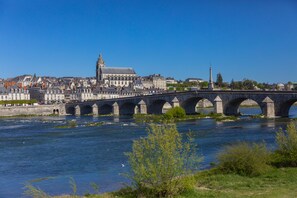 Duplex Suite with Loire View | View from room - Fleur de Loire (Blois)