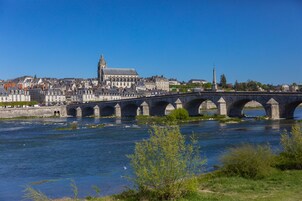 Duplex Suite with Loire View | View from room