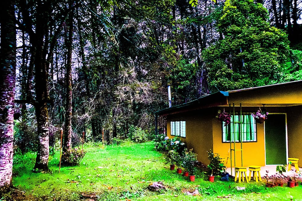 River Nest Lodge Costa Rica