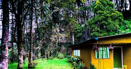 River Nest Lodge Costa Rica