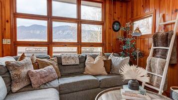 Smart TV, fireplace, books, video library