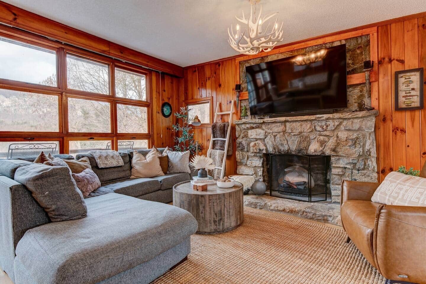 Smart TV, fireplace, books, video library