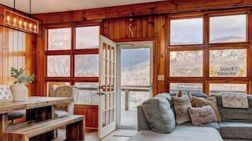 Smart TV, fireplace, books, video library