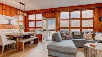 Smart TV, fireplace, books, video library