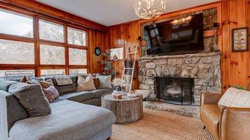 Smart TV, fireplace, books, video library