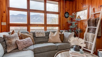 Smart TV, chimenea, libros y videoteca