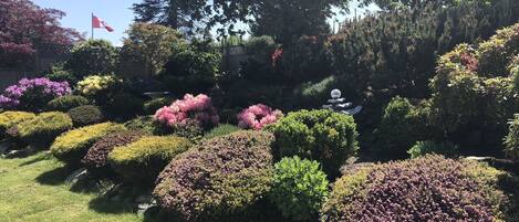 Área da propriedade